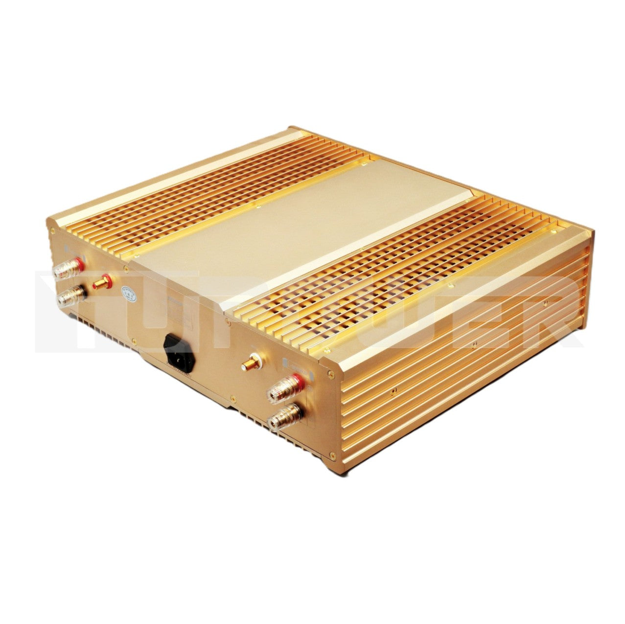 BRZHIFI FM300A Gold Rückseite mit RCA und Lautsprecheranschlüssen
