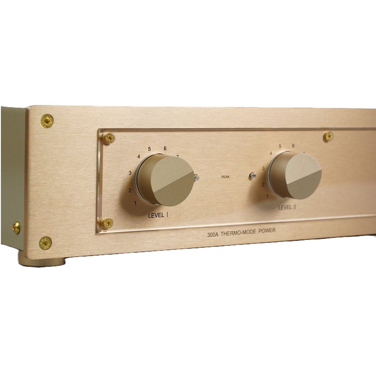 BRZHIFI 300A Standardversion mit zwei Lautstärkereglern