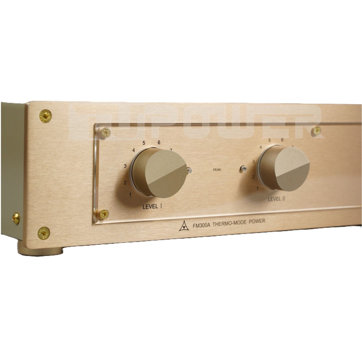 BRZHIFI FM300A Standardversion mit zwei Lautstärkereglern
