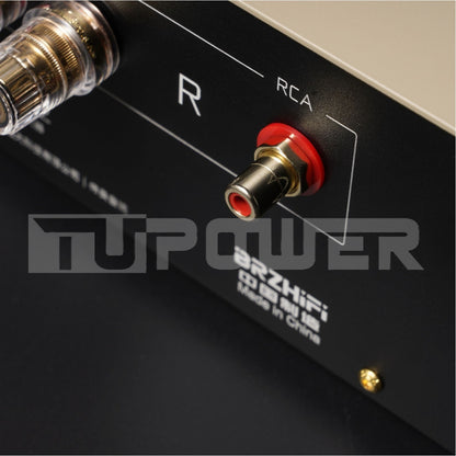 BRZHIFI FM300ASX2 Black vergoldeter RCA Eingang
