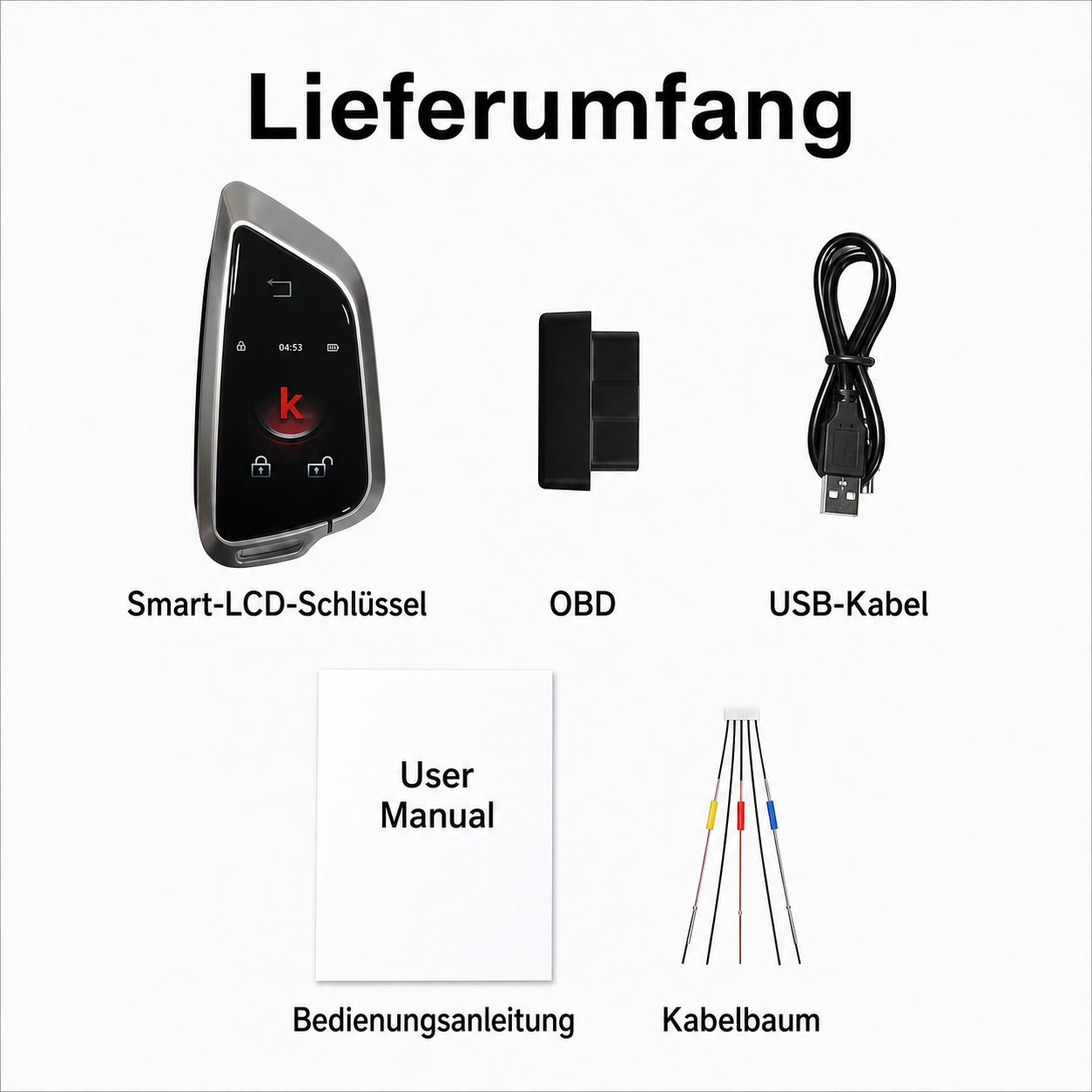 Smart Key EN900 Silber Umbau-Service mit Originalplatine