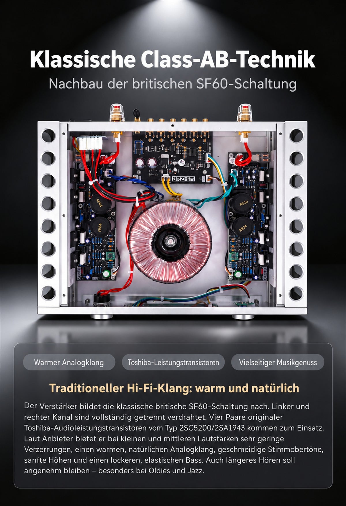 Infografik zum geöffneten BZ-A600i Schaltung mit Klang Beschreibung