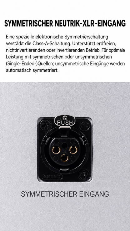 BRZHIFI 411 Stereo-Endstufe – 2 × 260 W an 4 Ω