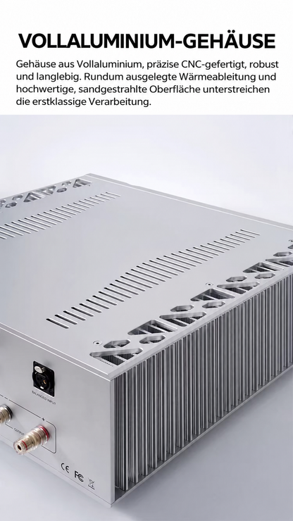 BRZHIFI 411 Stereo-Endstufe – 2 × 260 W an 4 Ω