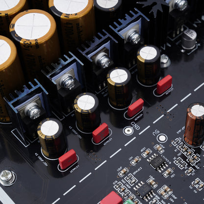 BRZHIFI DC600 Hi End DAC mit Kondensatoren und Transistoren