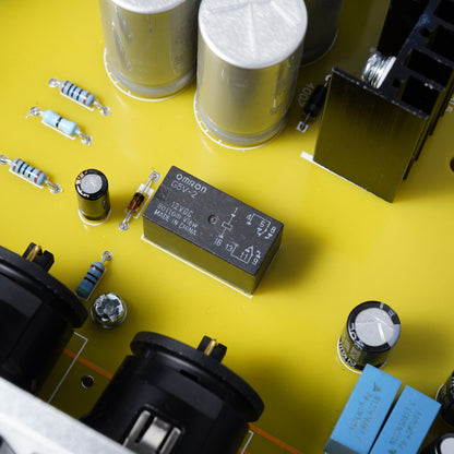 BRZHIFI 255 Vorstufe Signalmodul und diskrete Bauteile