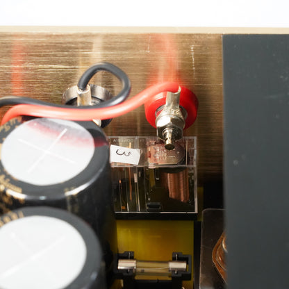 300A Verstärker mit Omron Relay