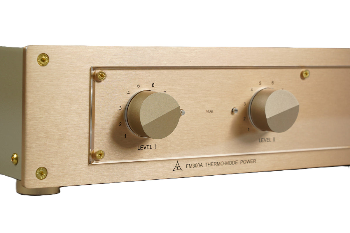 BRZHIFI 300A Standardversion mit zwei Lautstärkereglern