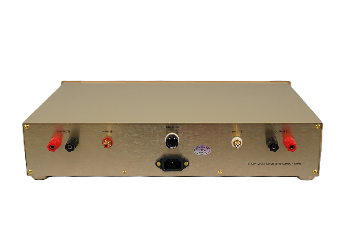 BRZHIFI 300A Class AB Stereo-Verstärker