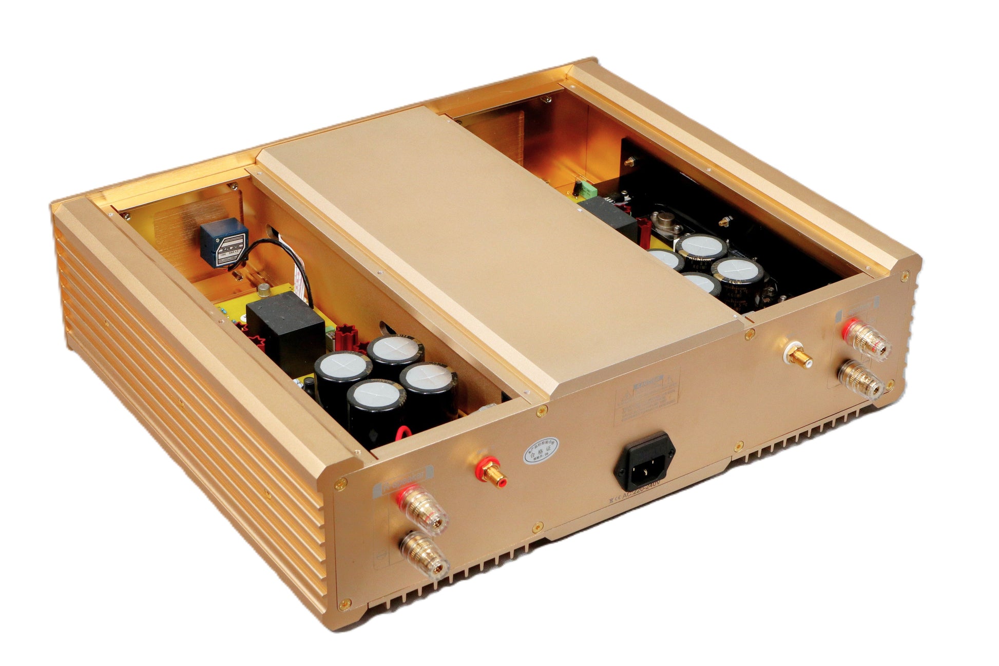 BRZHIFI 300A Gold Innenaufbau mit getrennten Verstärkersektionen