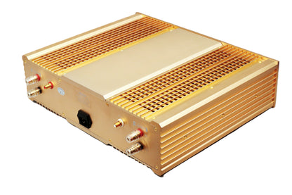 BRZHIFI 300A Gold Rückseite mit RCA und Lautsprecheranschlüssen