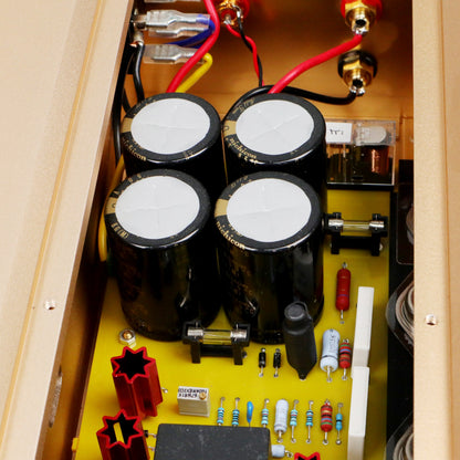 BRZHIFI 300A Gold mit ELNA Kondensatoren