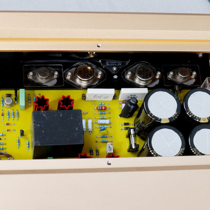 BRZHIFI 300A-HJB Gold HiFi Stereo-Verstärker