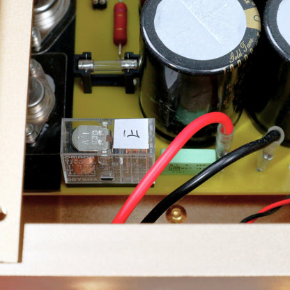 BRZHIFI 300A-HJB Gold HiFi Stereo-Verstärker