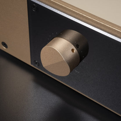 BRZHIFI 300ASX2 Black Alu-Drehregler