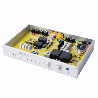 BRZHIFI 255 analoge HiFi-Vorstufe in Silber Innenansicht