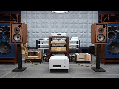 BRZHIFI FM300A-HJ Gold HiFi Stereo-Verstärker